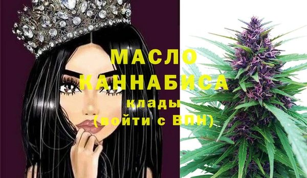 спиды Михайлов