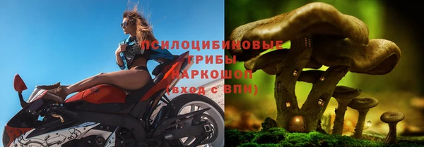 спиды Михайлов