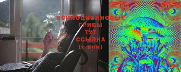 спиды Михайлов