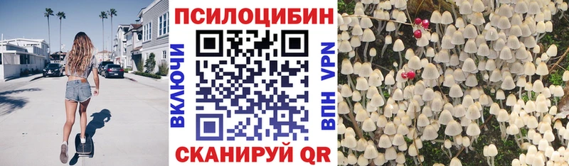 Галлюциногенные грибы Psilocybine cubensis  блэк спрут рабочий сайт  Владикавказ 